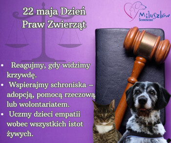 Dzień Praw Zwierząt