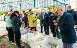 Krajowa Wystawa Miasto Ogród