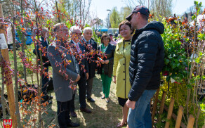 Krajowa Wystawa Miasto Ogród