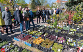 Krajowa Wystawa Miasto Ogród