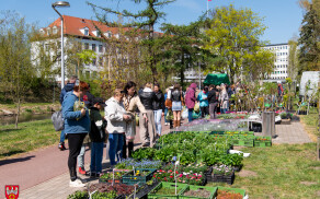 Krajowa Wystawa Miasto Ogród
