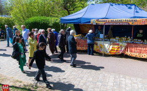 Krajowa Wystawa Miasto Ogród
