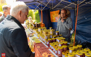 Krajowa Wystawa Miasto Ogród