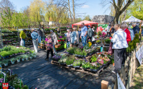 Krajowa Wystawa Miasto Ogród