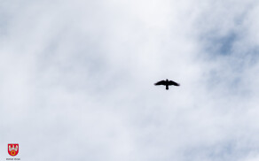 Rozbiórka byłej Komendy Policji w Pile wstrzymana