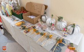 aukcja wesprze remony w WTZ