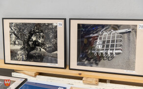 aukcja wesprze remony w WTZ