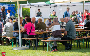 Dożynki gminne w Brzostowie- święto plonów i wspólnoty