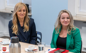 Cheerleaderki ze Szkoły Podstawowej nr 11  w Starostwie