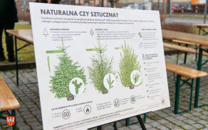 honorowych dawców nie brakowało