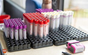 honorowych dawców nie brakowało