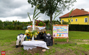 Święto plonów gminy Wyrzysk w Żelaźnie