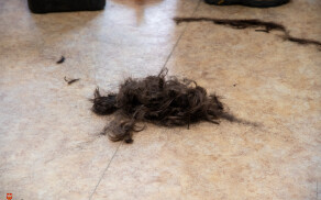 #MechanvsCancer – niezwykła akcja uczniów „Mechanika”