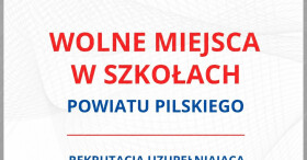 Wolne miejsca w szkołach Powiatu Pils...