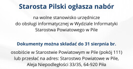 Praca dla informatyka