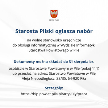 Praca dla informatyka