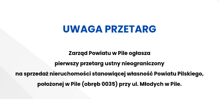 Atrakcyjna nieruchomość w Pile na spr...