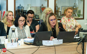 Radni zabezpieczyli środki na budowę mostu Bolesława Krzywoustego