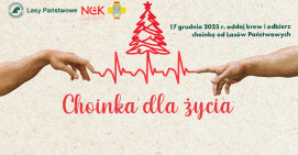 Zbiórka krwi przed świętami