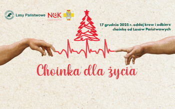 Zbiórka krwi przed świętami