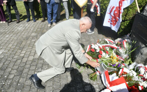 Obchody Dnia Solidarności i Wolności