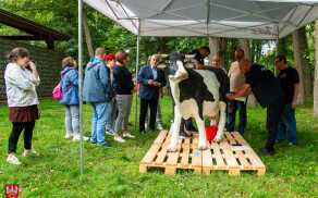 Piknik rekreacyjny uczestników ZAZ w Pile