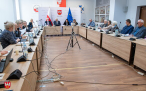 O współpracy z organizacjami pozarządowymi