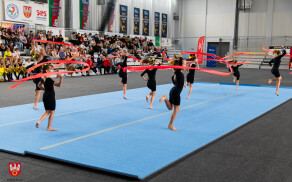 Warsztaty cheerleadingu sportowego w hali przy Pola