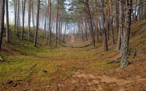 podpisanie listu intencyjnego