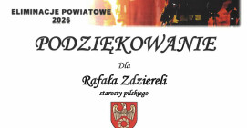 Komendnat PSP w Pile, Zarząd Odziału Powiatowego ZOSP RP w Pile