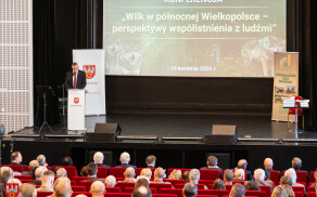 O wilku bez emocji podczas konferencji w Pile