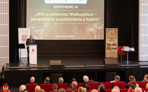 O wilku bez emocji podczas konferencji w Pile