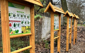 "Zielone zakątki" w powiecie pilskim