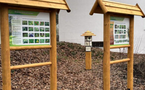 "Zielone zakątki" w powiecie pilskim