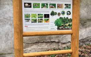 "Zielone zakątki" w powiecie pilskim