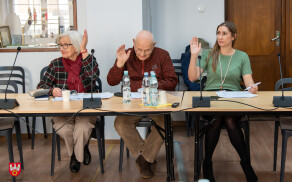 Zespół Konsultacyjny zaopiniował Program Współpracy