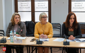 Zespół Konsultacyjny zaopiniował Program Współpracy