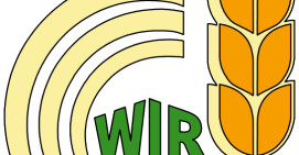 Wybory do walnych zgromadzeń izb rolniczych