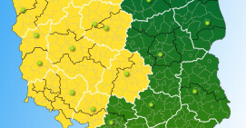 IMGW ostrzega przed silnym wiatrem