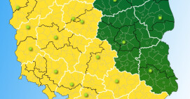 Uwaga, dziś w nocy będą przymrozki!