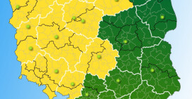 IMGW ostrzega przed opadami deszczu i silnym wiatrem