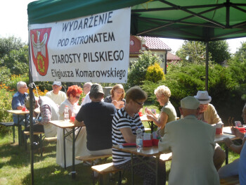 Brydżowe rozgrywki na działkach