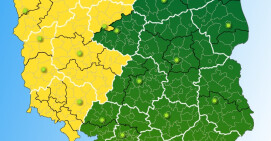 IMGW ostrzega przed silnym wiatrem
