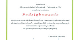 Okręgowa Izba Pielęgniarek i Położnych w Pile
