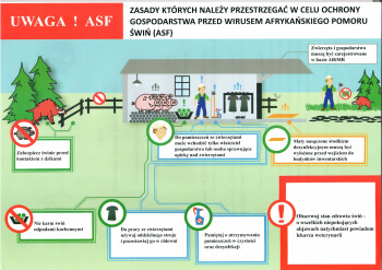 Komunikat o zagrożeniu afrykańskim pomorem świń (ASF). Jak się przed nim bronić?