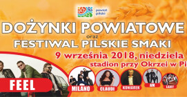 Dożynki Powiatowe: korowód, koncerty, dobra kuchnia i atrakcje dla dzieci 