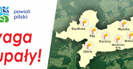UWAGA, UPAŁY! Sprawdź jak je przetrwać