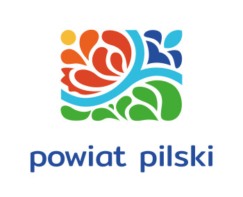  Informacja z przebiegu konsultacji 