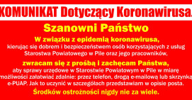Korzystajmy z usług elektronicznych   