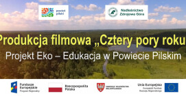 Pilskie lasy w czterech odsłonach